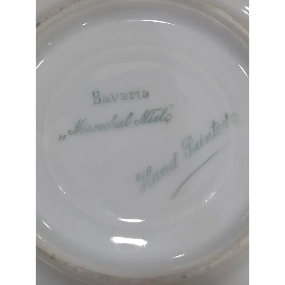 Antique Thomas Bavaria Hand Painted Roses Demitasse Teacup Saucer Marechal Niel